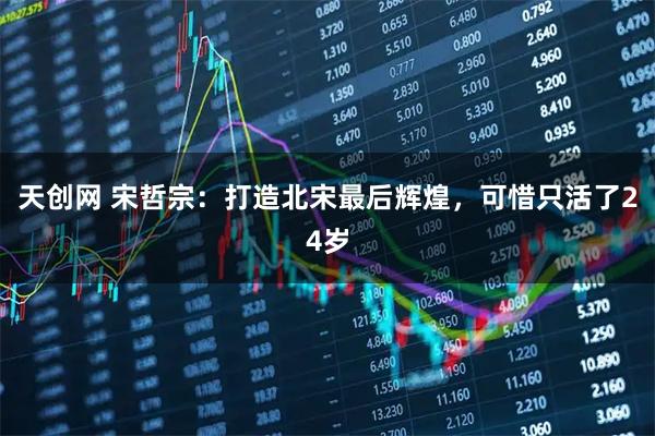 天创网 宋哲宗:打造北宋最后辉煌,可惜只活了24岁