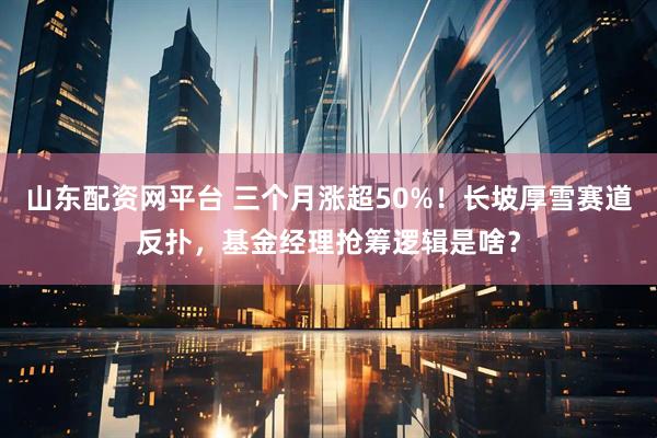 山东配资网平台 三个月涨超50%！长坡厚雪赛道反扑，基金经理抢筹逻辑是啥？